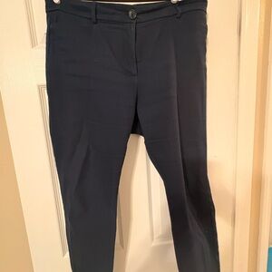 Loft Skinny Curvy Navy Dress Pants